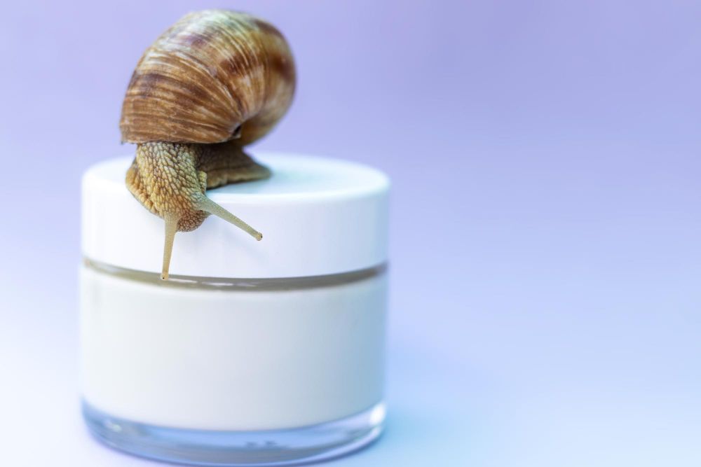 Jak działa krem ze śluzem ślimaka